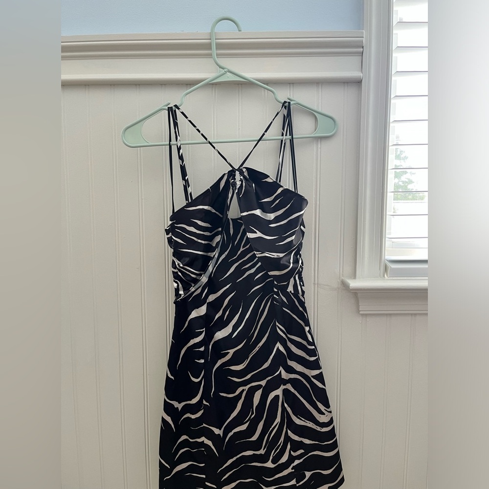 NWT Zara Zebra Print Mini Dress
